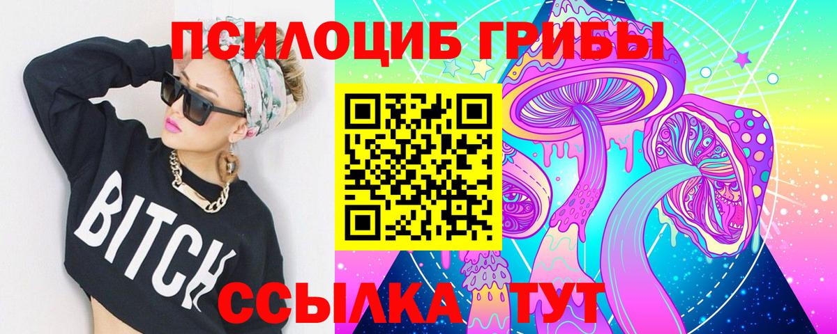 Галлюциногенные грибы Psilocybine cubensis Кингисепп