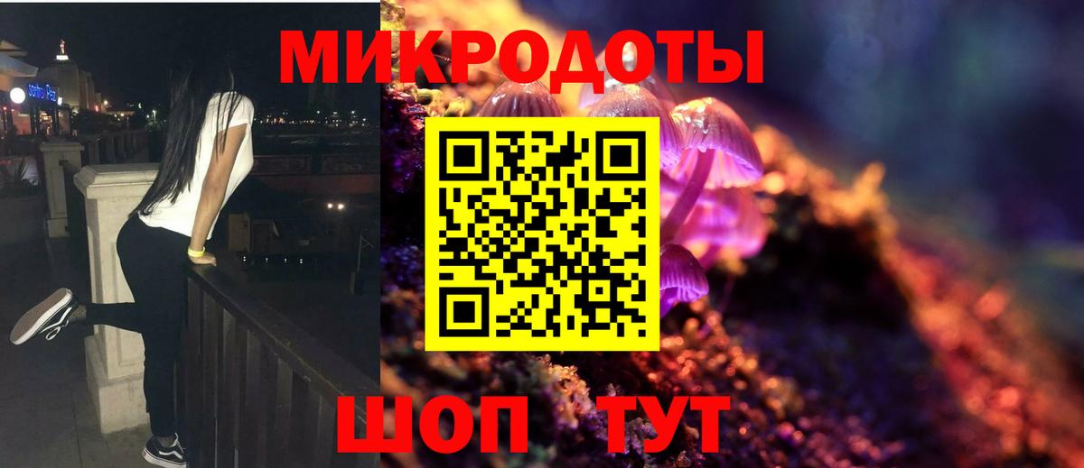 Кингисепп  Галлюциногенные грибы Psilocybe  Вход с VPN 